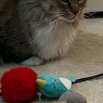 Thumbnail photo of Lilly #1