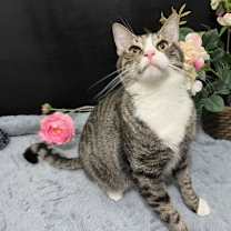 Thumbnail photo of Bailey #1