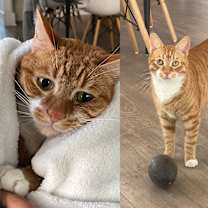 Thumbnail photo of Frank #1