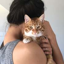 Thumbnail photo of Frank #4