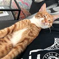 Thumbnail photo of Frank #3
