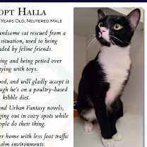 Thumbnail photo of Halla #2