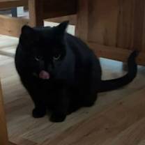 Thumbnail photo of Orbit #3