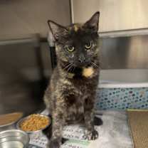 Thumbnail photo of Sundae #3