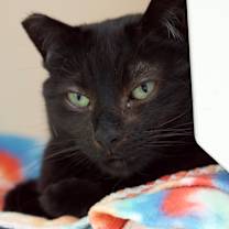 Thumbnail photo of Nigel Billingsley #1