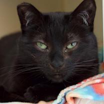 Thumbnail photo of Nigel Billingsley #2