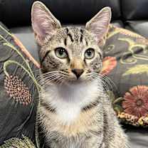 Thumbnail photo of Buster #4