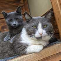 Thumbnail photo of Harold and Maude #1