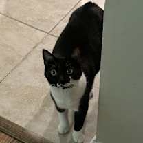 Thumbnail photo of Mila #3