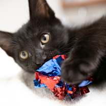 Thumbnail photo of Marie #1