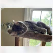 Thumbnail photo of REILLY #1