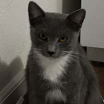 Thumbnail photo of Mighty Courage #1