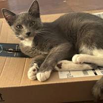 Thumbnail photo of Mighty Courage #2