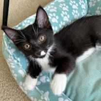 Thumbnail photo of Alicia #1