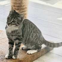 Thumbnail photo of Eloise #4