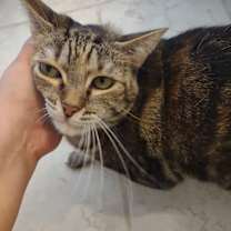 Thumbnail photo of Bean #1