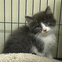 Thumbnail photo of Whatchamacallit #4