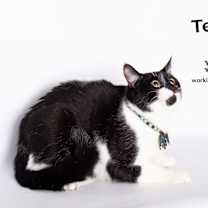 Thumbnail photo of TEDDY #1