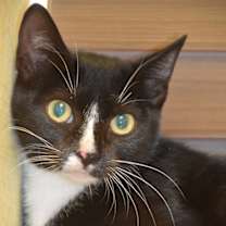 Thumbnail photo of Rowena #1