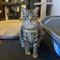 Thumbnail photo of Finn #1