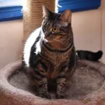 Thumbnail photo of Joann #4