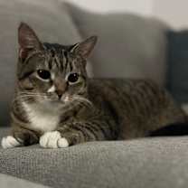 Thumbnail photo of Resilience #1