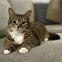 Thumbnail photo of Resilience #2