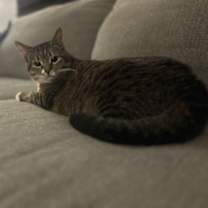 Thumbnail photo of Resilience #3