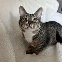 Thumbnail photo of Resilience #4