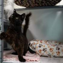Thumbnail photo of Twin #4