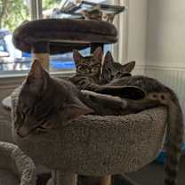 Thumbnail photo of Kaya & Jeannie #2