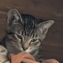 Thumbnail photo of Millie and Edward #2