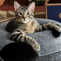 Thumbnail photo of Max #2