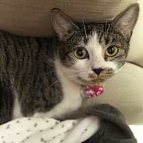 Thumbnail photo of Hydee #4