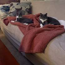 Thumbnail photo of Easton and Puck #3