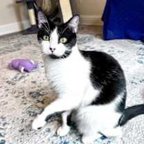 Thumbnail photo of Luke #2