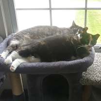 Thumbnail photo of Donna & Marie #4