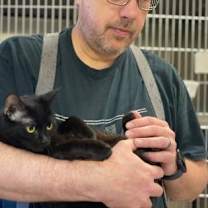 Thumbnail photo of Moshi FIV+ #2