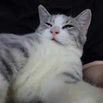 Thumbnail photo of Buddy #1