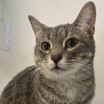 Thumbnail photo of Charlotte #2