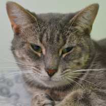 Thumbnail photo of Charlotte #4