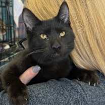 Thumbnail photo of Miss Magoo 4672 #4