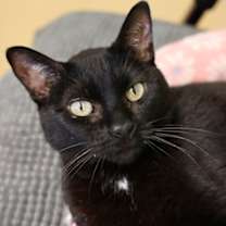 Thumbnail photo of Sylvie #1