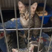 Thumbnail photo of Billy #1