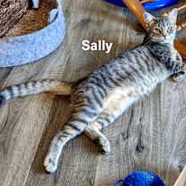 Thumbnail photo of Sammy & Sally #2