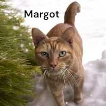 Thumbnail photo of Margot #1
