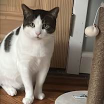 Thumbnail photo of Stefan #2