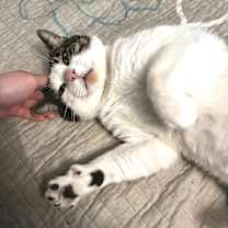 Thumbnail photo of Stefan #3