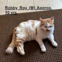 Thumbnail photo of Robby Roy #3