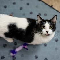 Thumbnail photo of Bella #1